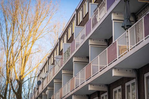 Jaarstukken- en verklaring 2024